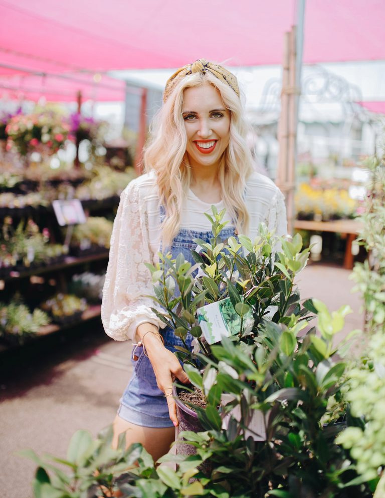 Top 3 Places to Buy Home Items On a Budget Blush & Camo