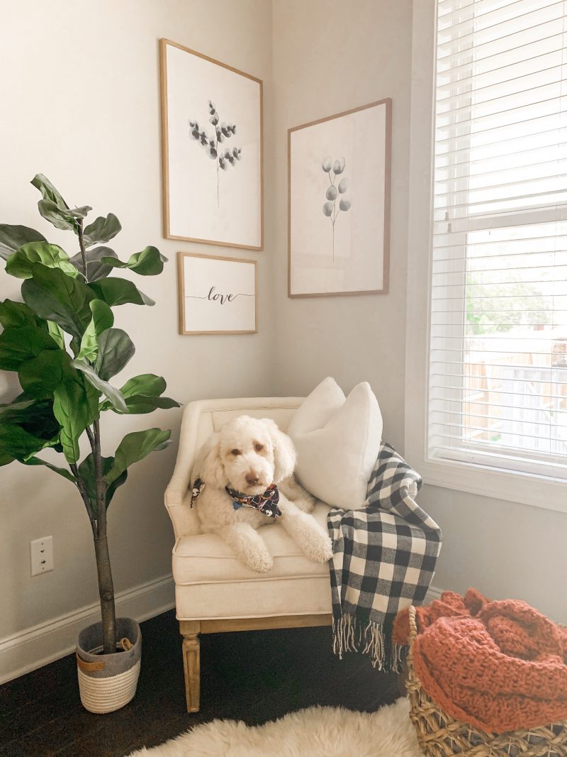 HOME PROJECT: A COZY READING CORNER