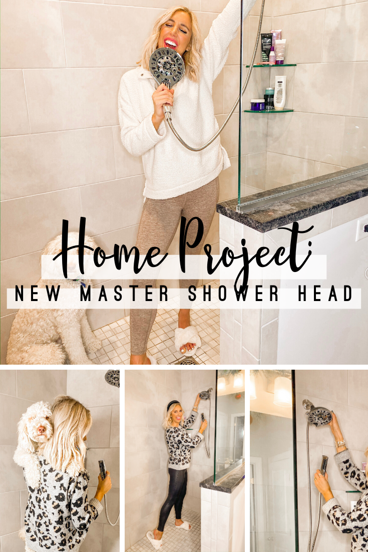 Home Project: New Master Shower Head