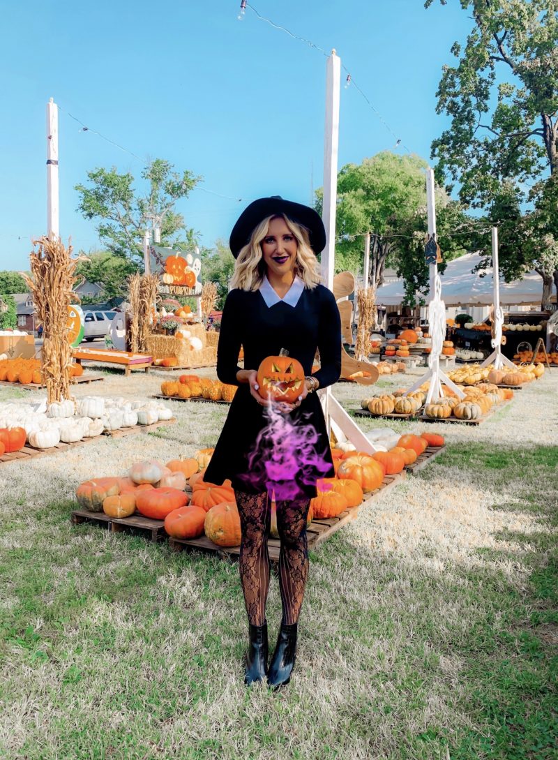 60+ Fall & Halloween Captions for Instagram