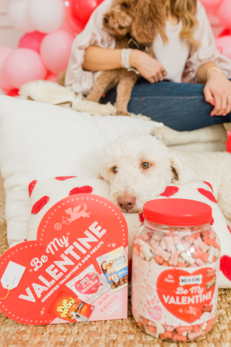 7 Ways To Spoil Your Dog This Valentine’s Day